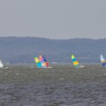 Img 6949