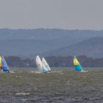 Img 6953