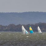 Img 6954